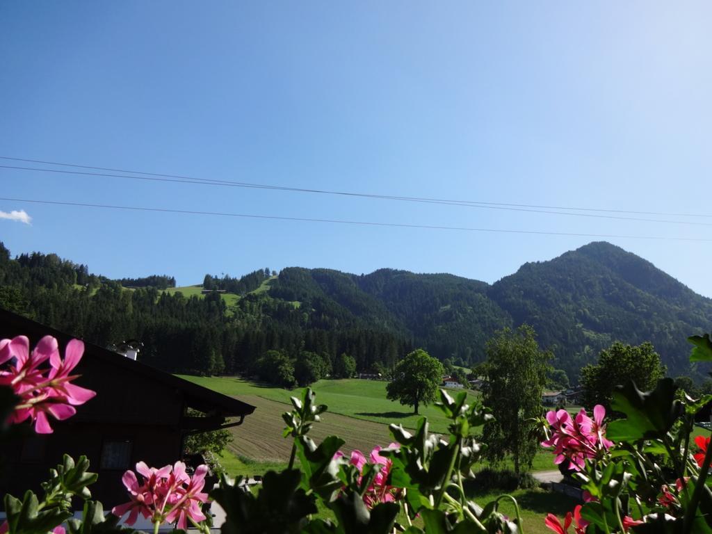 Haus Sylvia Apartment Reith im Alpbachtal Cameră foto